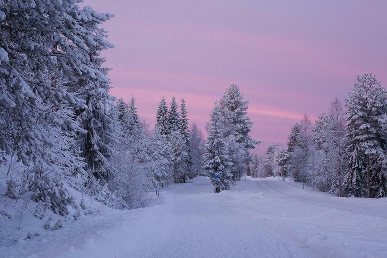 Terra Ultima Villa Rovaniemi Eksteriør billede