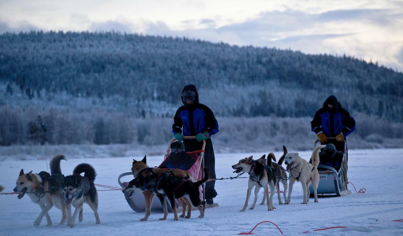 Terra Ultima Villa Rovaniemi Eksteriør billede