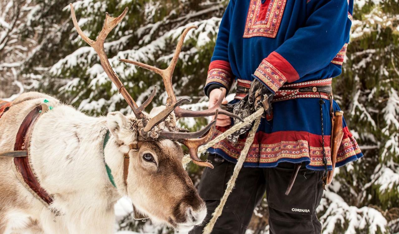 Terra Ultima Villa Rovaniemi Eksteriør billede