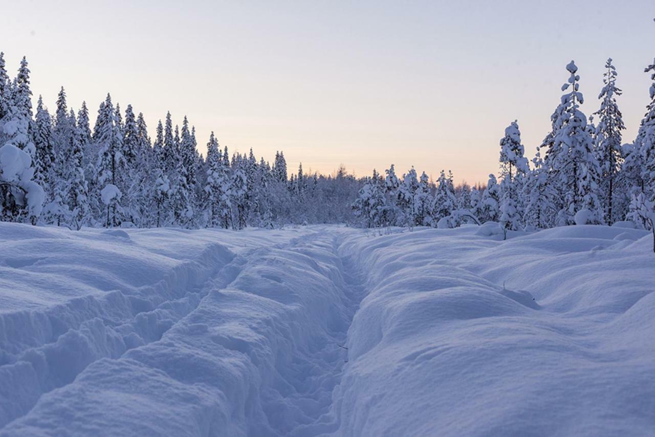 Terra Ultima Villa Rovaniemi Eksteriør billede