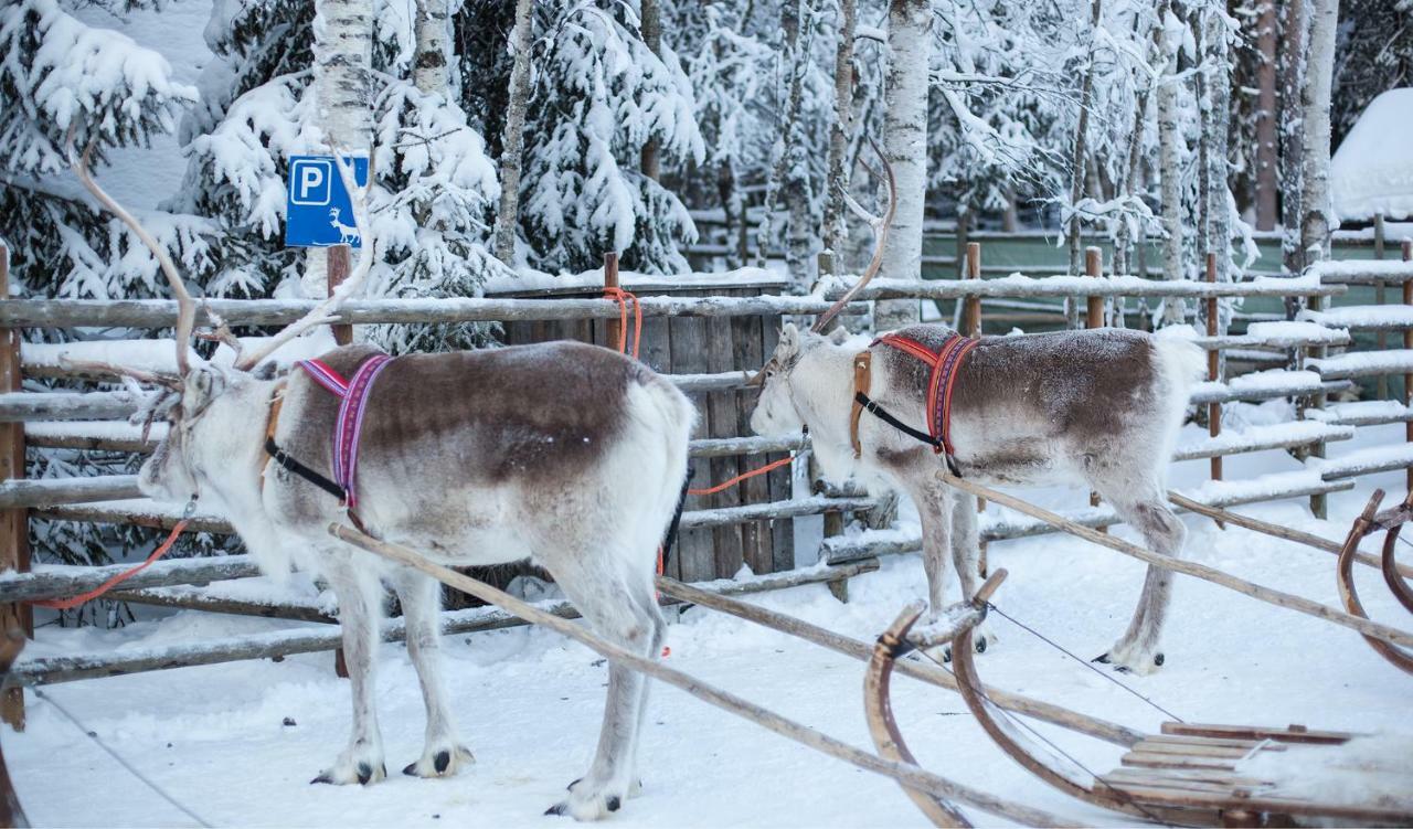 Terra Ultima Villa Rovaniemi Eksteriør billede