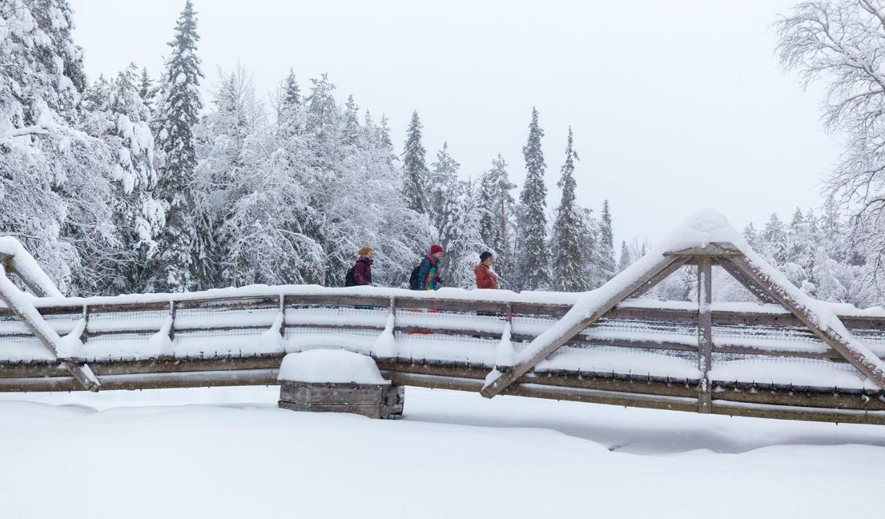 Terra Ultima Villa Rovaniemi Eksteriør billede
