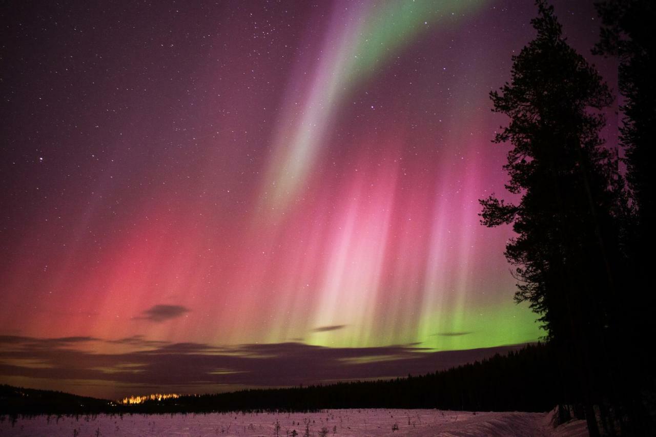 Terra Ultima Villa Rovaniemi Eksteriør billede